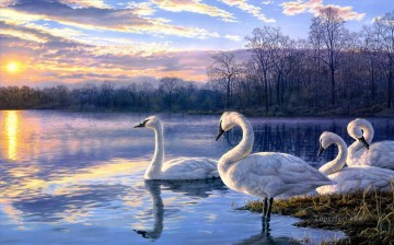 goose in blue scenery Oil Paintings